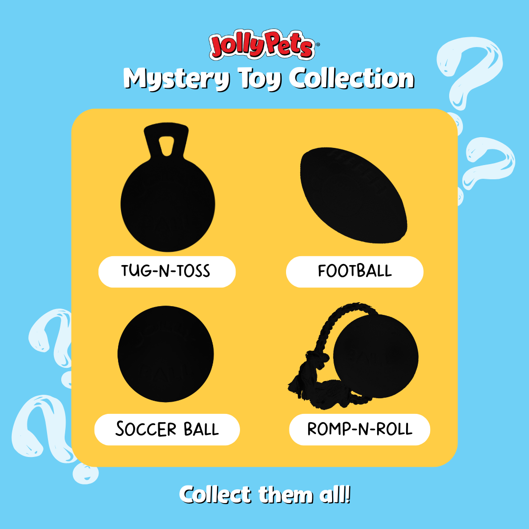 Mystery_Toy_PDP.png
