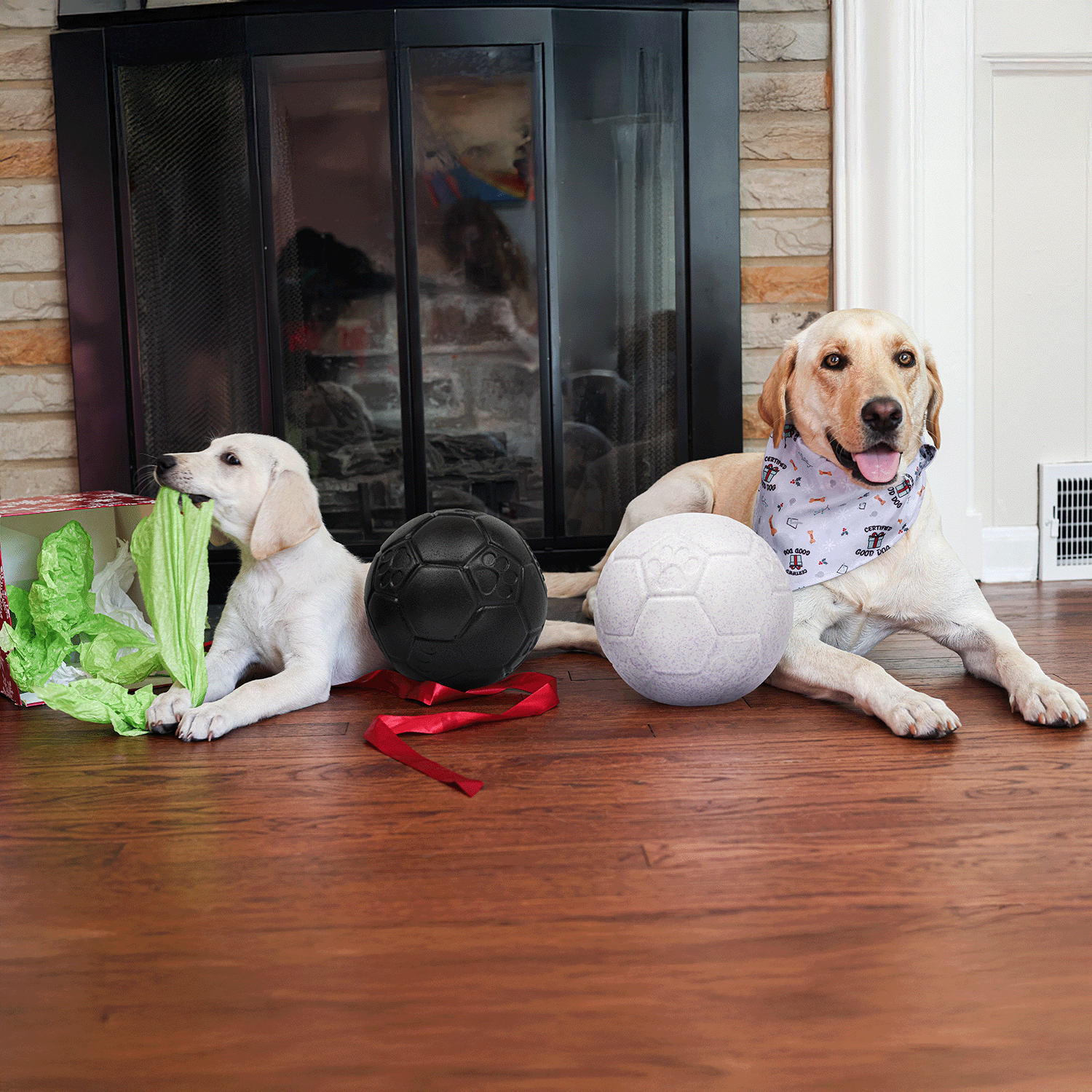 SB08_Naughty_and_Nice_200_1_1500x1500_e1128afc-d3df-4035-963d-2a287ba084a4.png